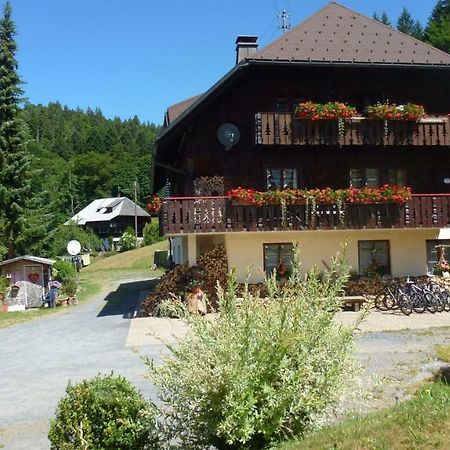 Apartamento Haus Biehler Todtmoos Exterior foto