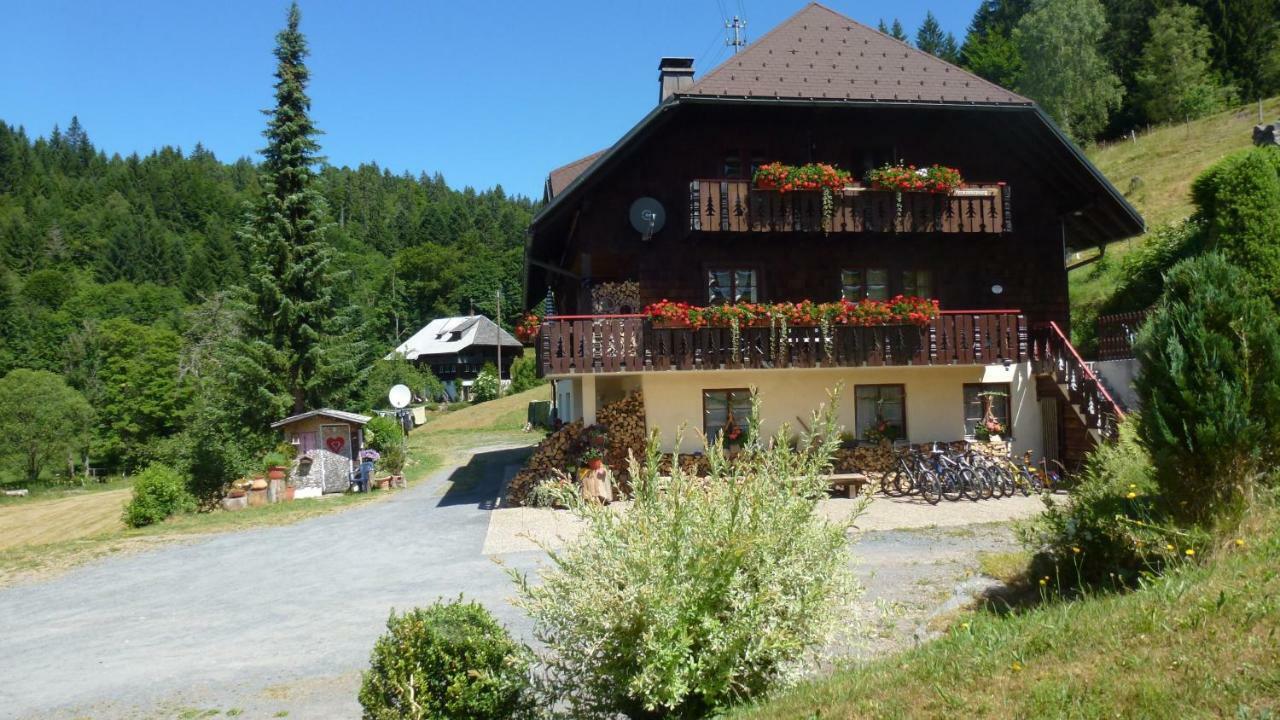 Apartamento Haus Biehler Todtmoos Exterior foto